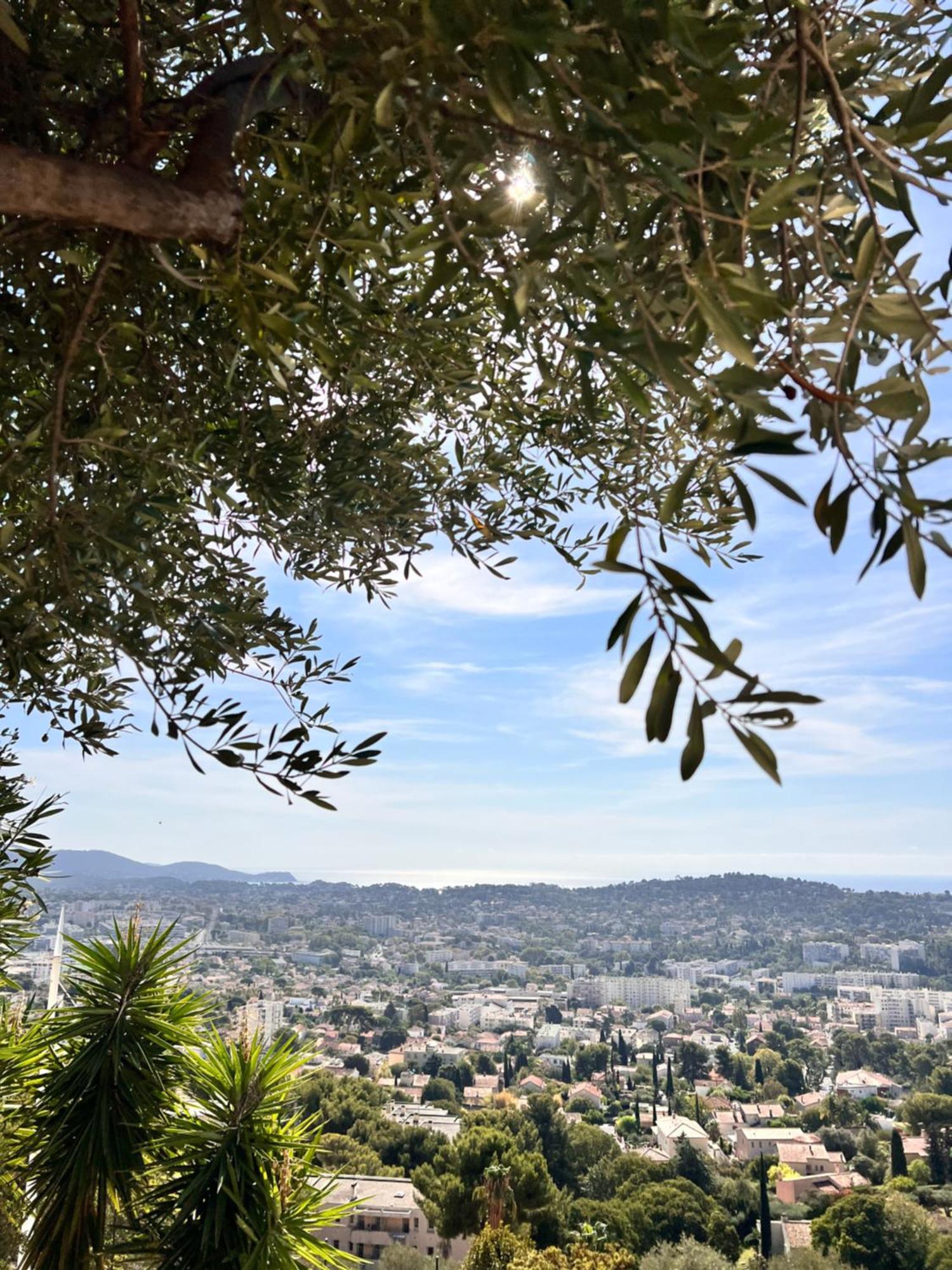 Avec Vue Panoramique Apartment